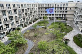 Groene tuinen verminderen hittestress en wateroverlast