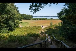 Kandidaten burgemeester Huizen