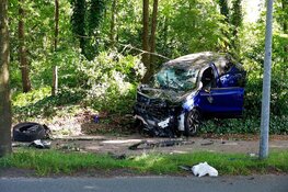 Automobilist schrikt van fietsster en botst tegen boom, beide personen gewond