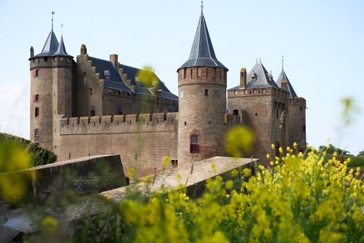 Vier de zomervakantie op het Muiderslot!