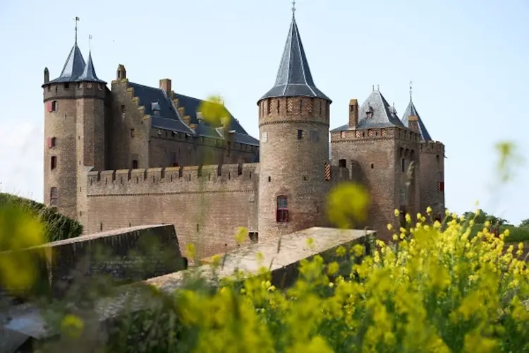 Vier de zomervakantie op het Muiderslot!