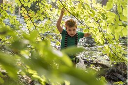 OERRR Struinen met de boswachter in ’s-Graveland