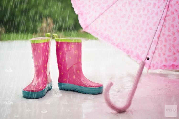 Zeer wisselvallige start van augustus, later in de week weer zomers