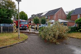 Boom valt over straat in Huizen