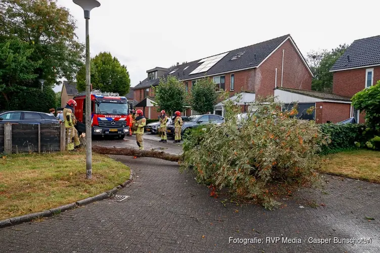 Boom valt over straat in Huizen