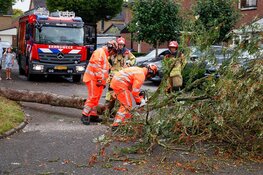Boom valt over straat in Huizen