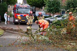 Boom valt over straat in Huizen