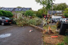 Boom valt over straat in Huizen