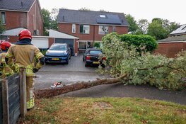 Boom valt over straat in Huizen