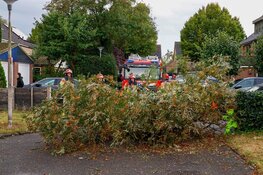 Boom valt over straat in Huizen