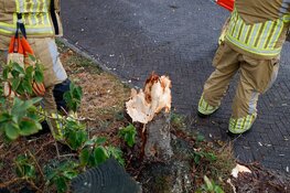 Boom valt over straat in Huizen