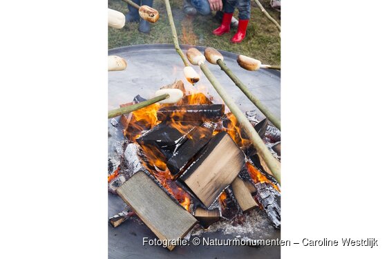 Struinen en broodje bakken met de boswachter