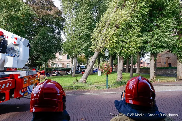 Boom staat op omvallen, auto-eigenaren verplaatsen voertuigen