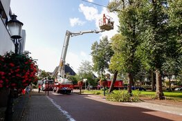 Boom staat op omvallen, auto-eigenaren verplaatsen voertuigen