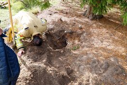 Twee honden in konijnenhol op begraafplaats in Naarden