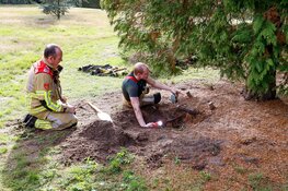 Twee honden in konijnenhol op begraafplaats in Naarden