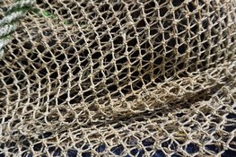 Ontdek de veelzijdigheid van kwaliteitsnetten voor jouw projecten