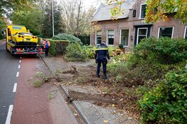 Auto belandt in voortuin van woning