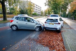 Automobiliste botst tegen geparkeerde auto, bestuurder en hondje ongedeerd