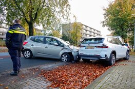 Automobiliste botst tegen geparkeerde auto, bestuurder en hondje ongedeerd