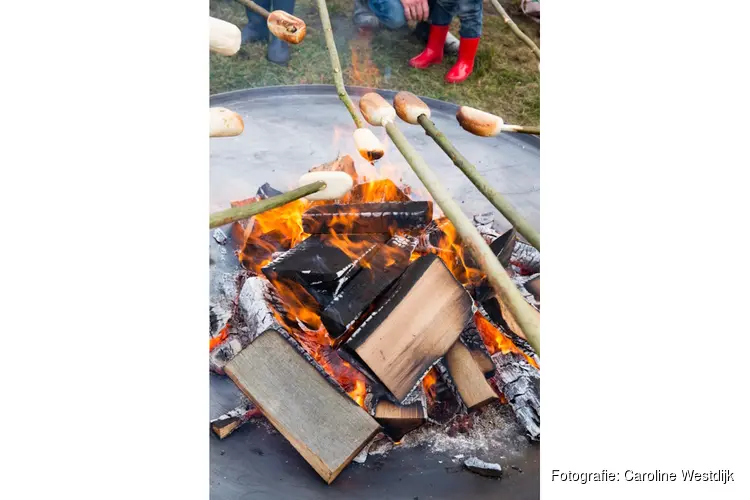 OERRR Struinen en broodje bakken met de boswachter
