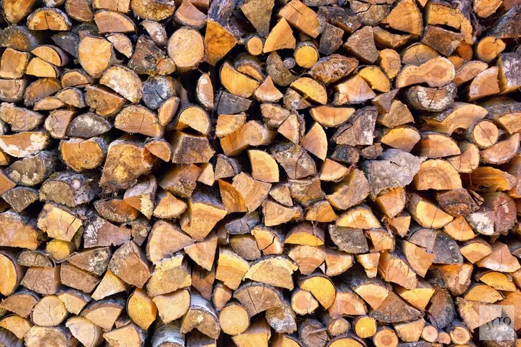 Koude dagen in het Gooi? Zo zorg je voor een warm en prettig huis