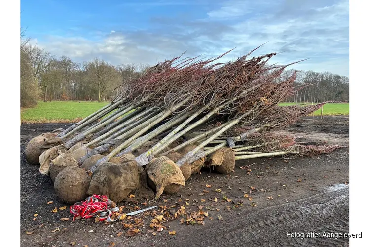 Groen keert terug in de tuin van Buitenplaats Trompenburgh