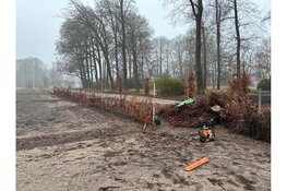 Groen keert terug in de tuin van Buitenplaats Trompenburgh