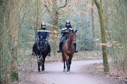 Veteranen Search Team en politie zoekt naar vermiste 76 jarige man