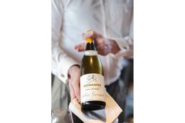 Twee dorpen, twee tradities: Meursault en Châteauneuf‑du‑Pape onder de loep