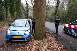 Automobilist botst tegen boom en raakt gewond