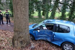 Automobilist botst tegen boom en raakt gewond