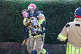Kat uit woning gered bij woningbrand in Bussum