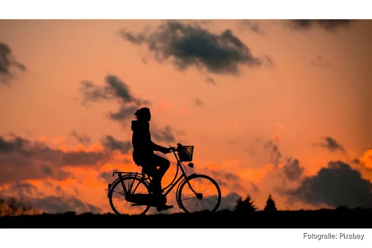 Elektrische fietsen vergelijken: zo kies je het beste model