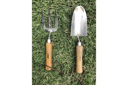 Van mos tot kale plekken: goed gazononderhoud stap voor stap uitgelegd