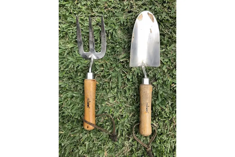 Van mos tot kale plekken: goed gazononderhoud stap voor stap uitgelegd