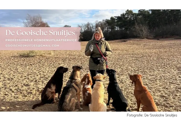 De Gooische Snuitjes! De professionele hondenuitlaatservice in ’t Gooi