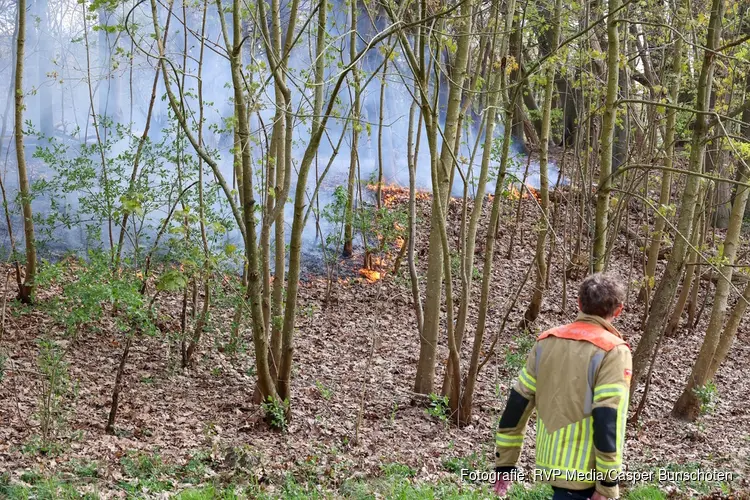 Brandweer blust brand in bos bij Hilversum