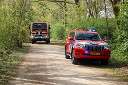 Brandweer blust brand in bos bij Hilversum