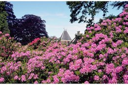 Festina Lente: Beleef de lente in alle rust