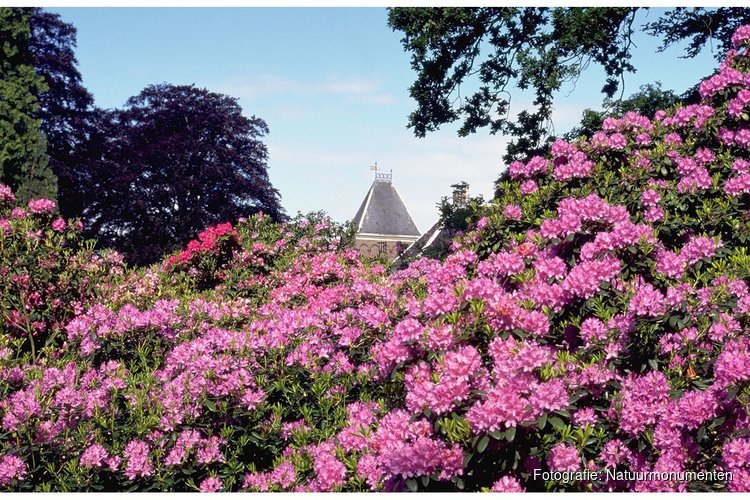 Festina Lente: Beleef de lente in alle rust
