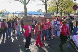 Grote opkomst bij demonstratie Loosdrecht