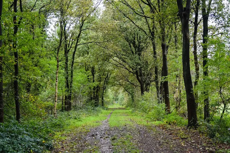 15 kindvriendelijke weekendactiviteiten in het Gooi en de Vechtstreek van maart tot mei