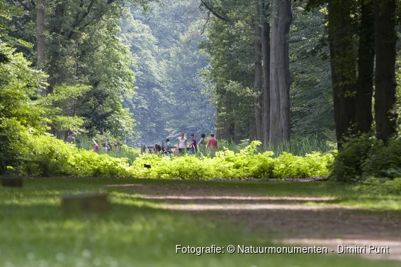 Festina Lente Ontspannen wandeling│Gezinnen