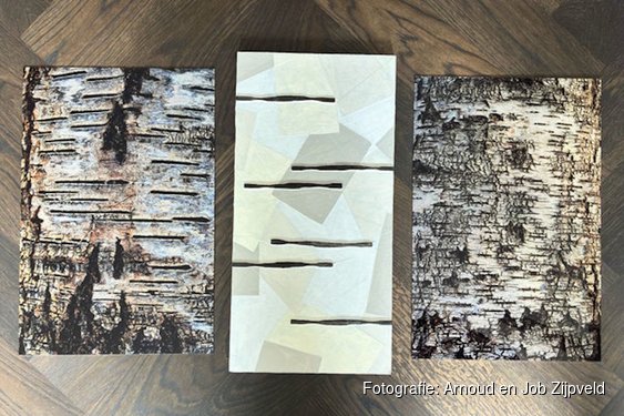 Kunststad Muiden zondag 7 juni