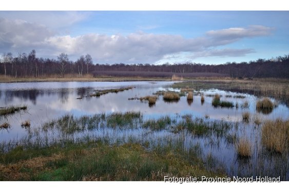 Nieuwe maatregelen nodig voor herstel van natuur in het Naardermeer