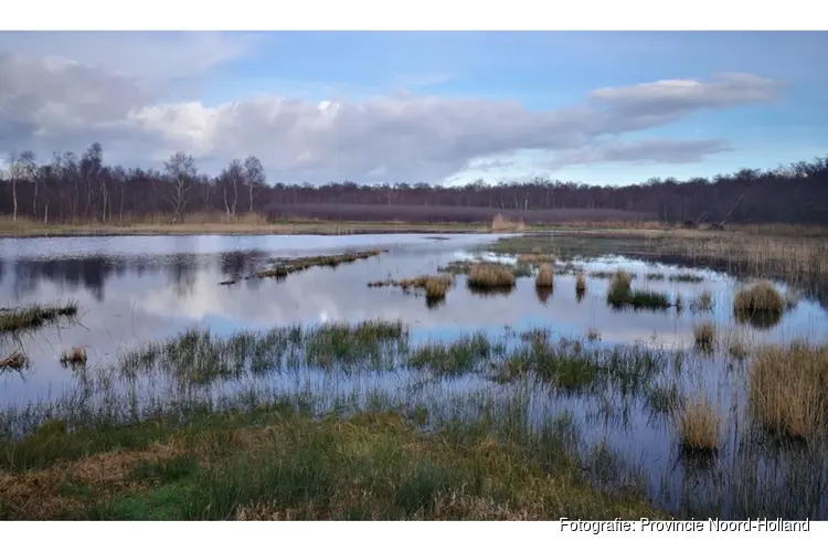 Nieuwe maatregelen nodig voor herstel van natuur in het Naardermeer