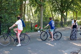 Scooterrijder (17) die in Hilversum tegen boom reed, is overleden