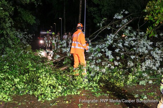 Boom omgevallen door flinke storm in Laren