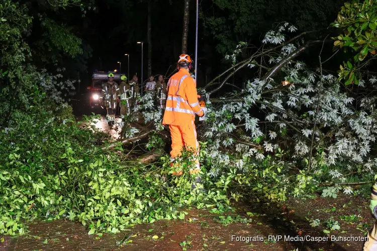 Boom omgevallen door flinke storm in Laren